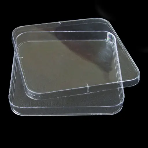 [SK-CELL-35] Square Petri Dishes