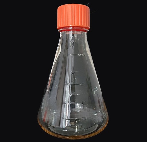 [SK-CELL-49] Erlenmeyer Flasks