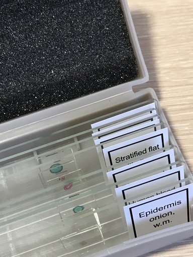 [SK-CELL-59] Slide Storage Boxes