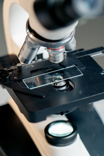 [SK-CELL-62] Microscope Cover Glass
