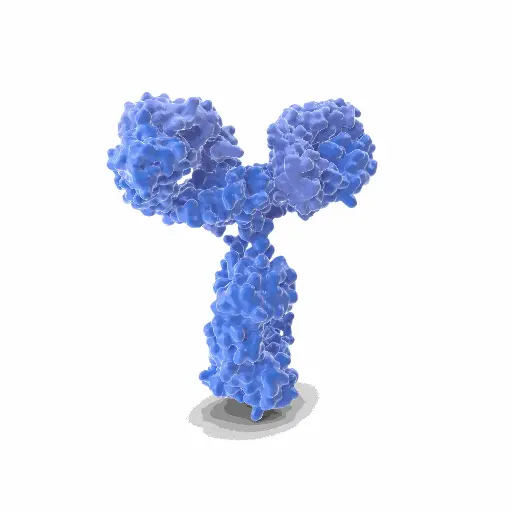 [GEN-ANTI-09] Gentaur RedPE Monoclonal Antibody